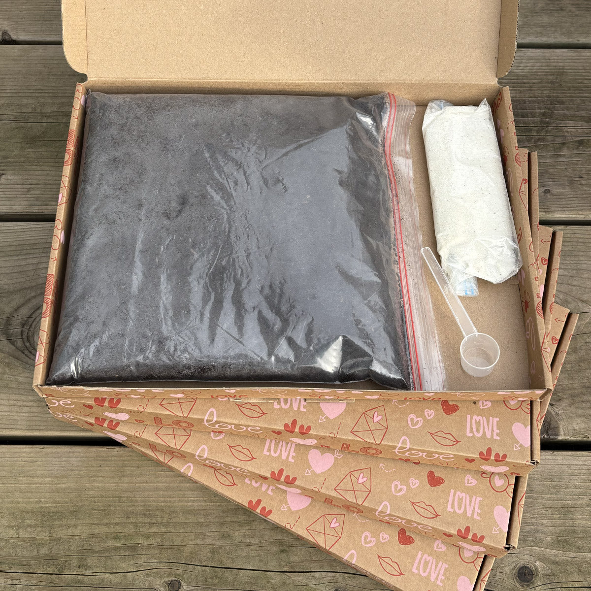 Friendly Cactus Groeipakket