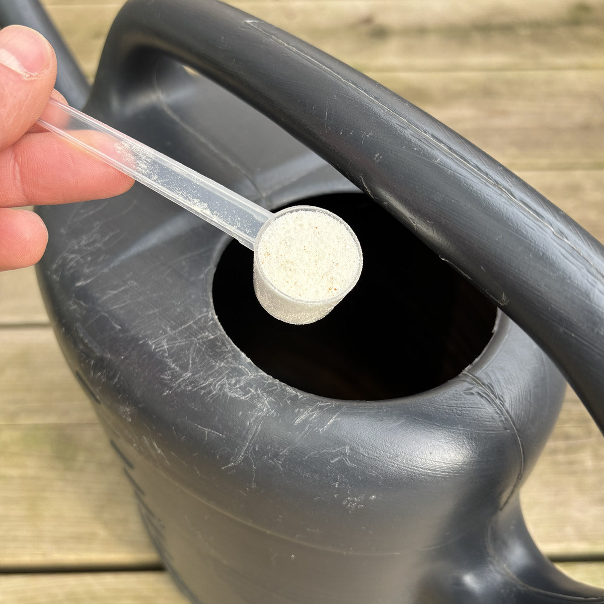 Friendly Cactus Groeipakket