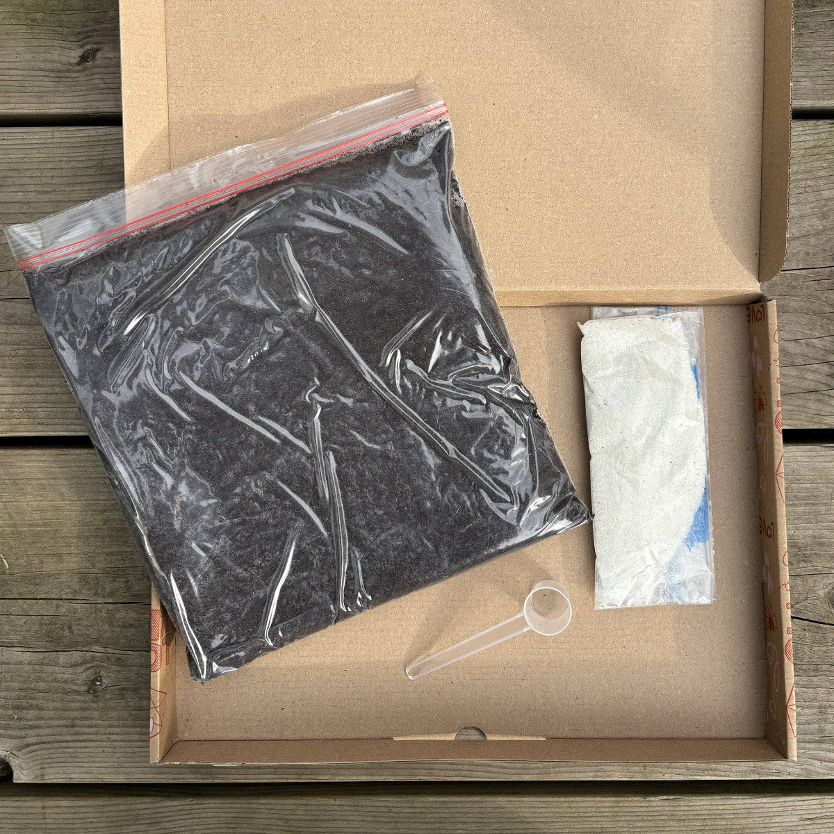 Friendly Cactus Groeipakket